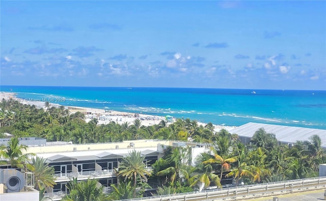 property view of water featuring a beach view