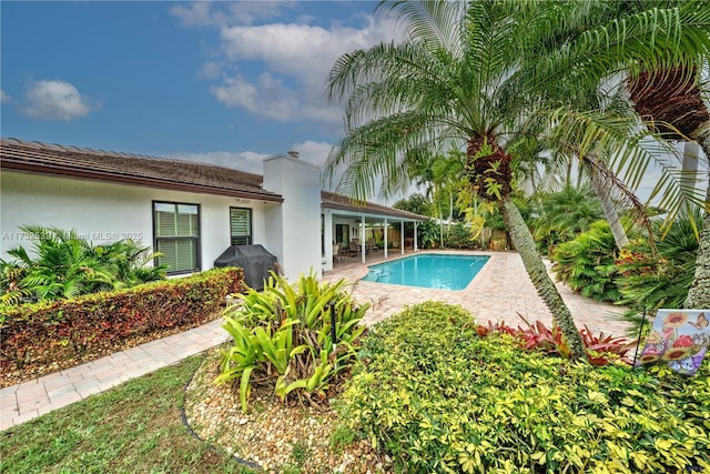 view of swimming pool featuring a patio and area for grilling