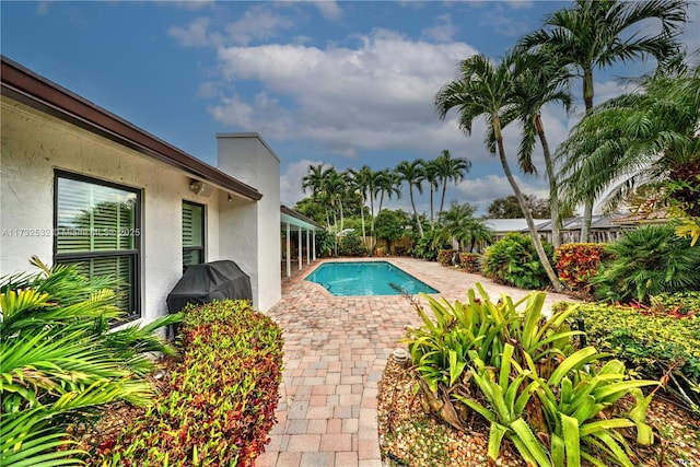 view of swimming pool featuring a patio