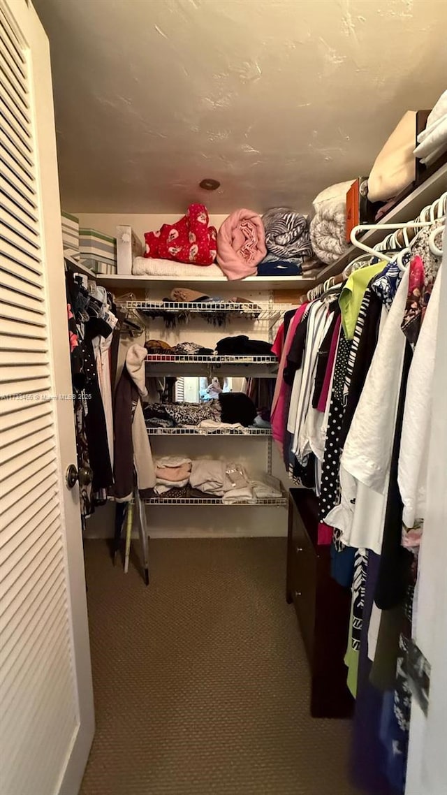 spacious closet featuring carpet floors