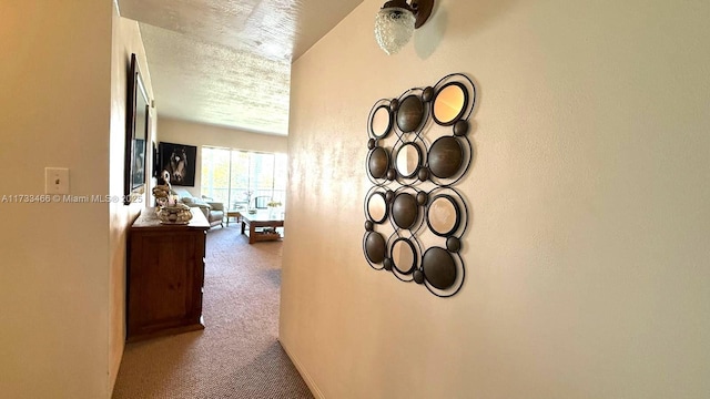 hallway with carpet floors and a textured ceiling