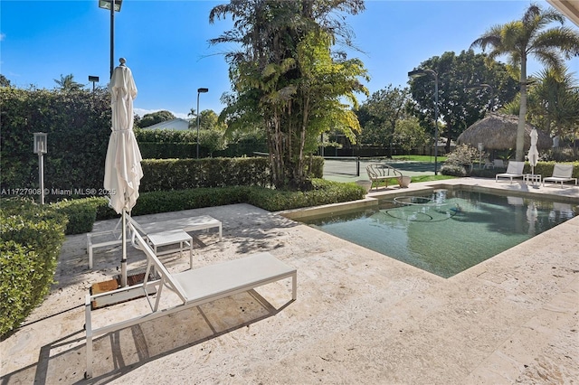 view of swimming pool with a patio