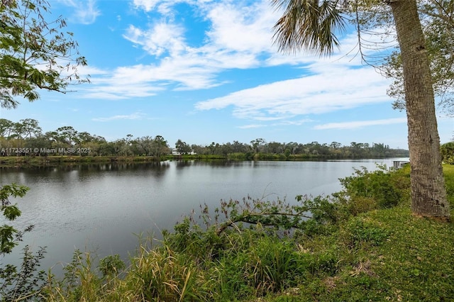 property view of water