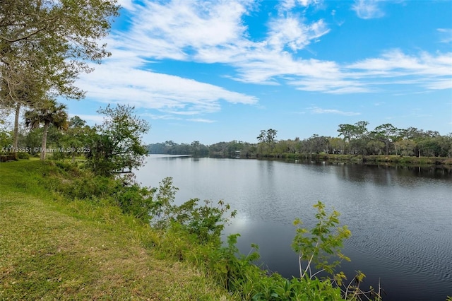 property view of water