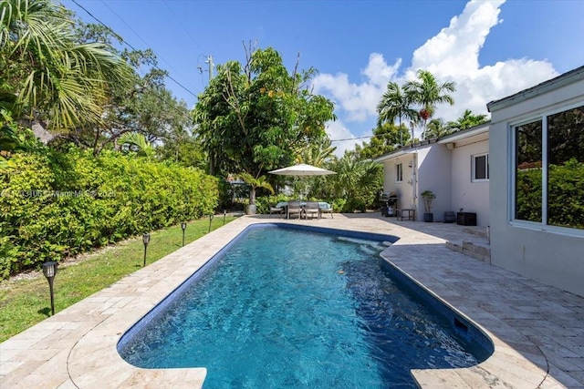 view of swimming pool featuring a patio area