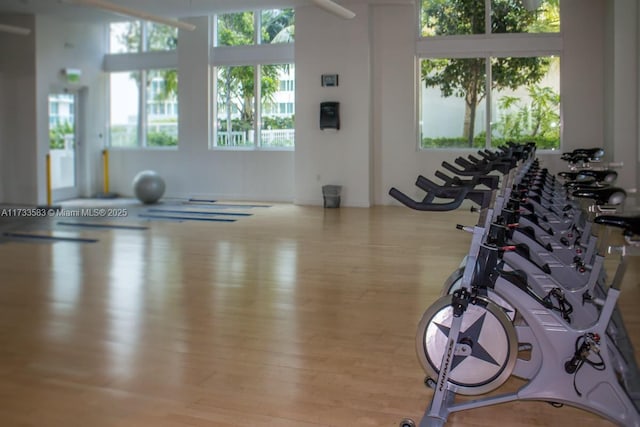 workout area featuring plenty of natural light and light wood-type flooring