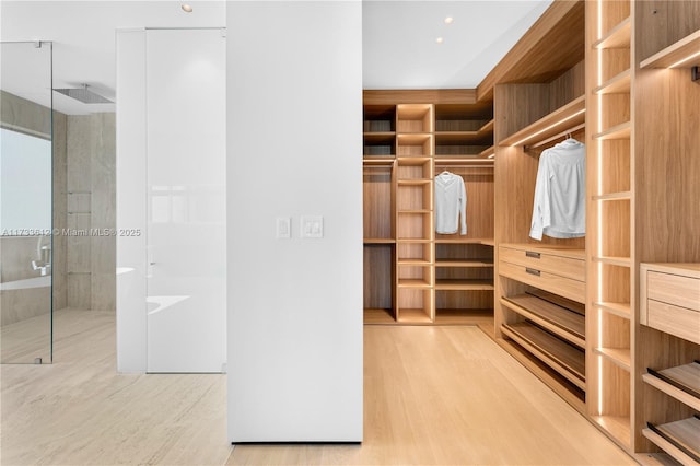 spacious closet featuring wood-type flooring