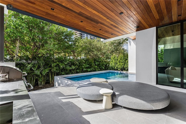 view of pool featuring grilling area and a patio