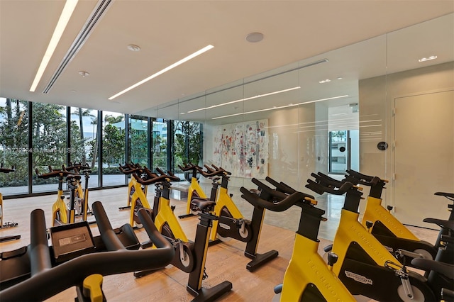 gym featuring floor to ceiling windows and light hardwood / wood-style flooring