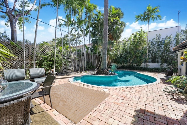 view of pool featuring a fenced in pool, a patio, and fence