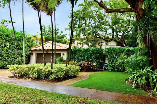 view of yard featuring an attached garage