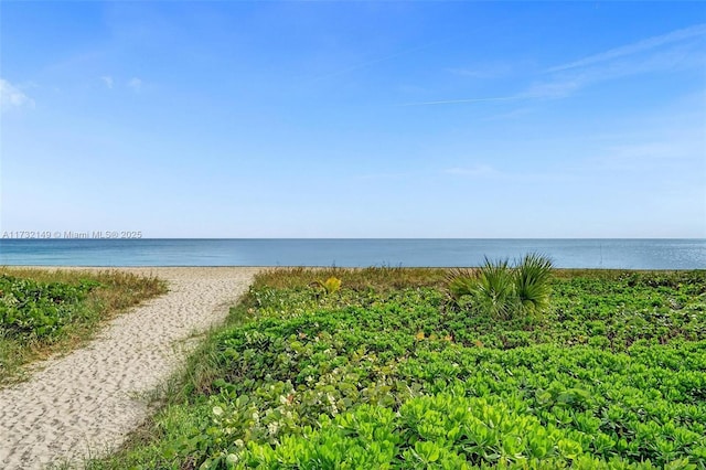 water view with a beach view