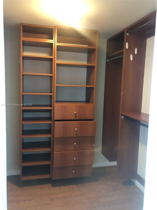 walk in closet featuring dark hardwood / wood-style floors