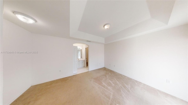 spare room with light colored carpet and a tray ceiling