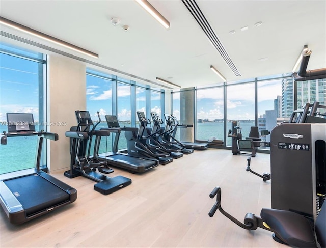 exercise room featuring floor to ceiling windows, hardwood / wood-style floors, and plenty of natural light