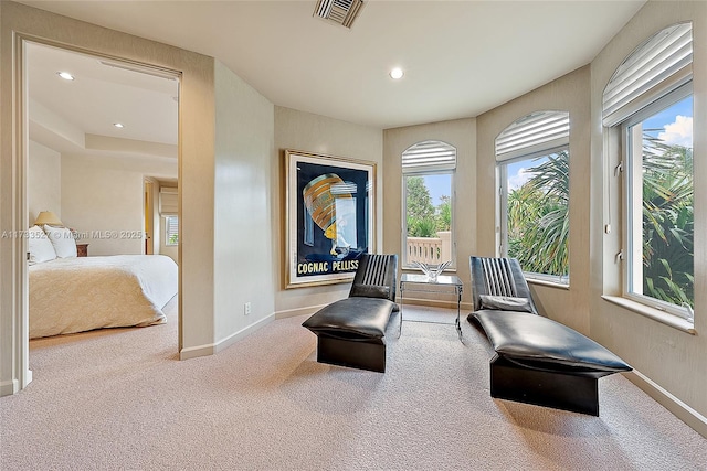 sitting room with carpet flooring