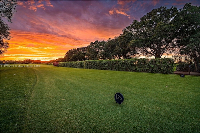 view of yard at dusk