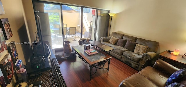 living room with hardwood / wood-style flooring