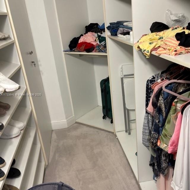 spacious closet featuring light carpet