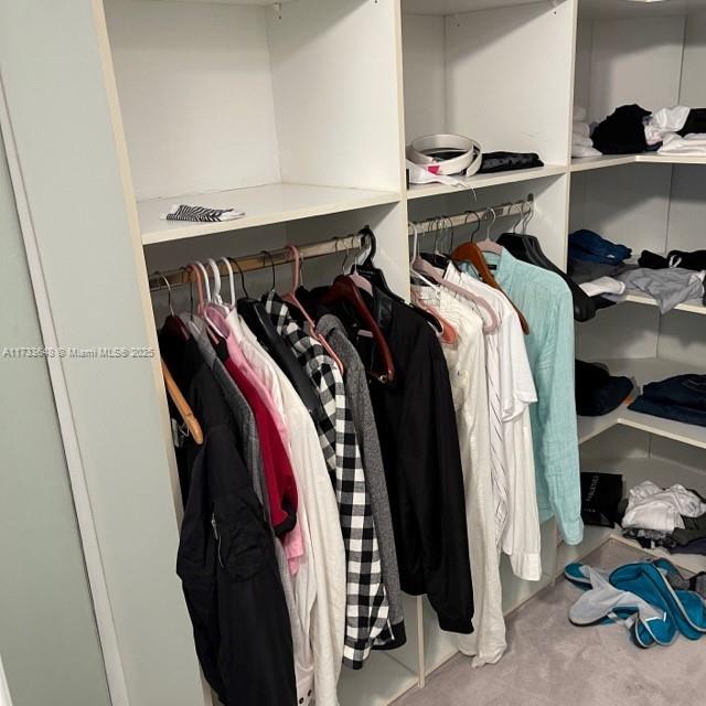 view of closet