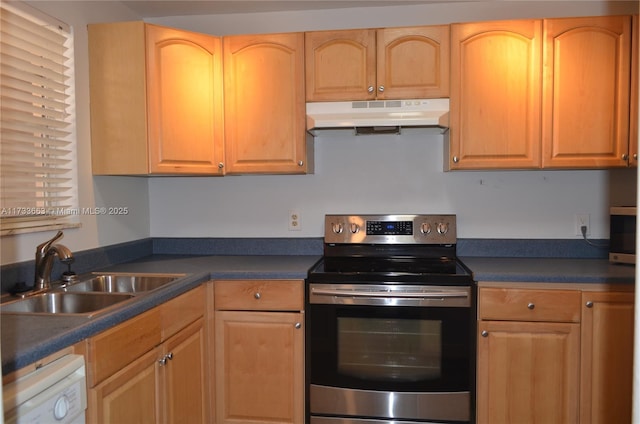 kitchen featuring dishwasher, sink, and electric range