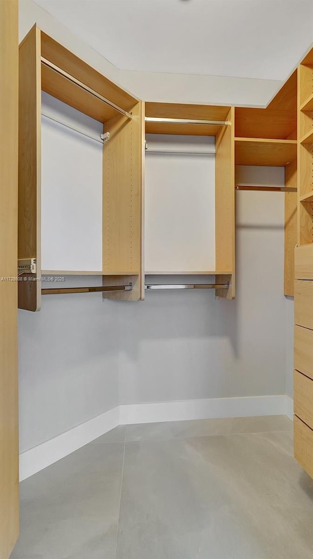 view of spacious closet