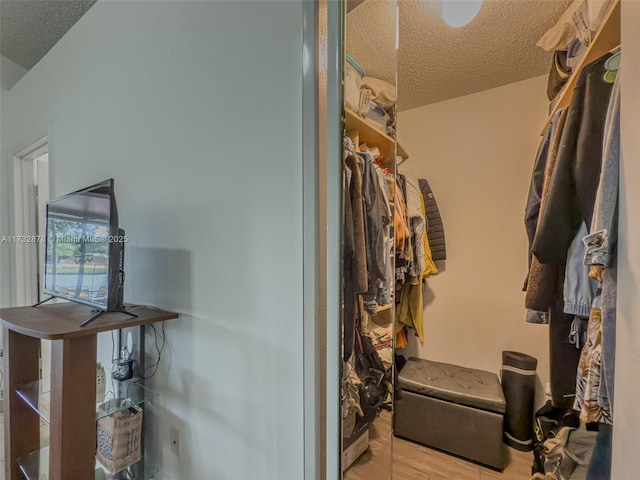 spacious closet with light wood-type flooring