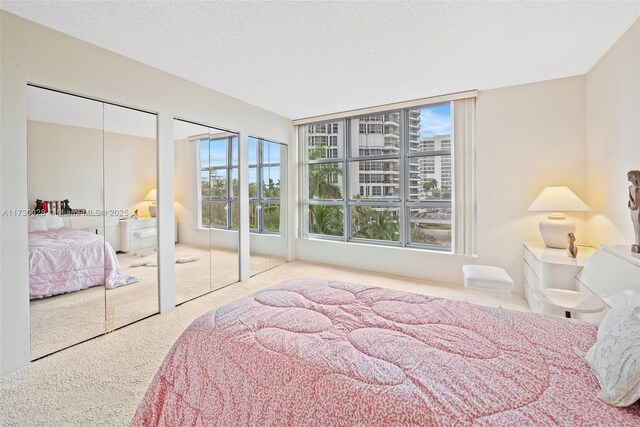 carpeted bedroom with multiple closets and a textured ceiling