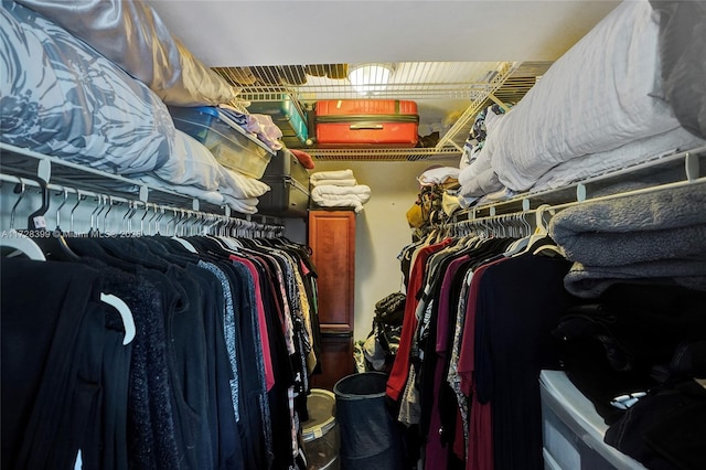 view of walk in closet