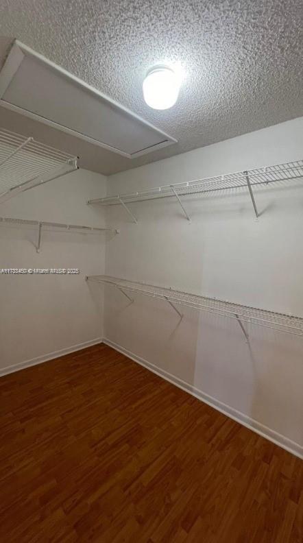 spacious closet featuring hardwood / wood-style flooring