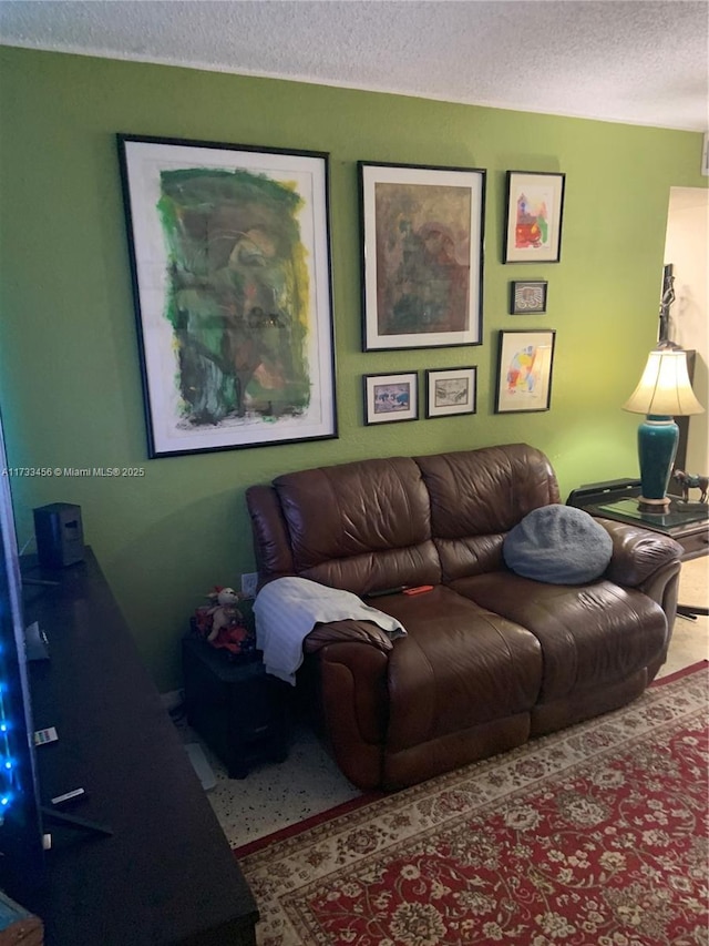 living room with a textured ceiling