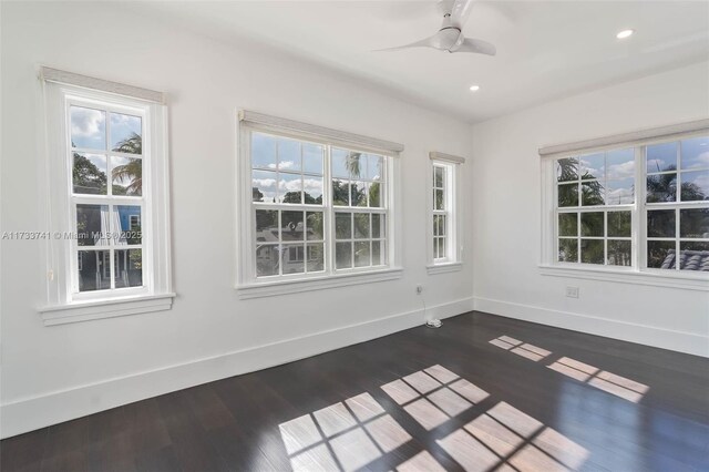 walk in closet with dark wood-type flooring