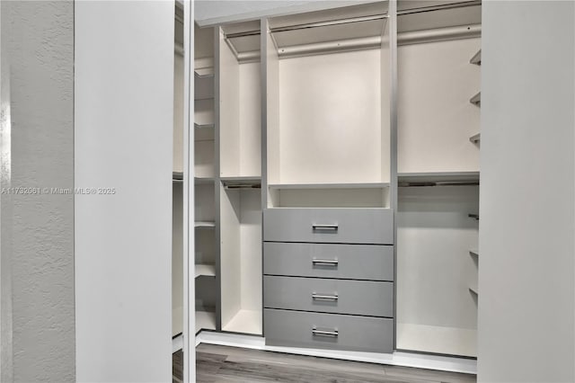 spacious closet with wood-type flooring