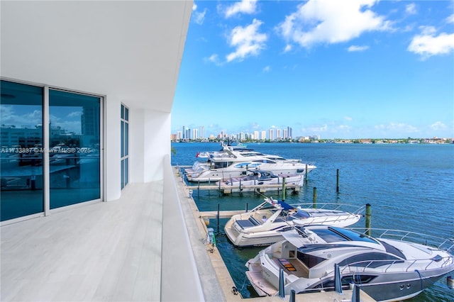 dock area with a water view