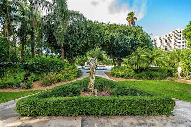 view of property's community with a pool