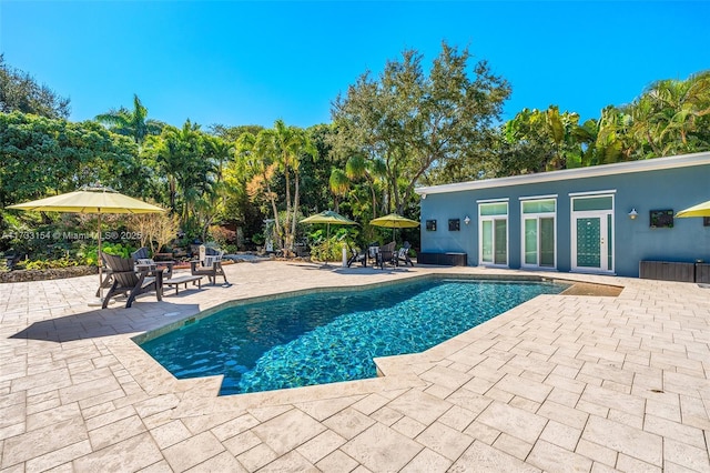 view of swimming pool with a patio area