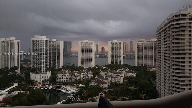 property's view of city with a water view