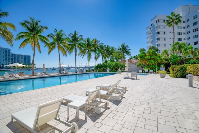 view of pool featuring a patio area