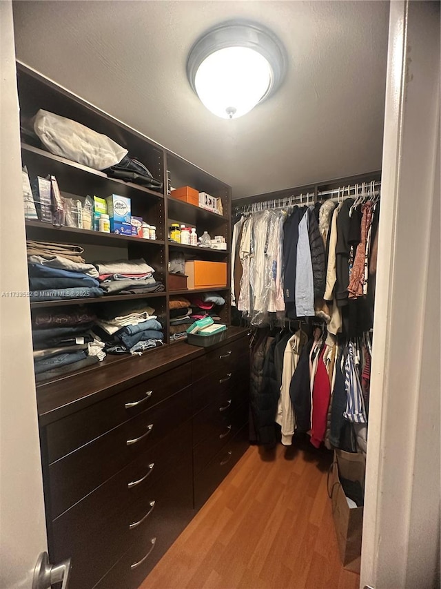 walk in closet with wood-type flooring