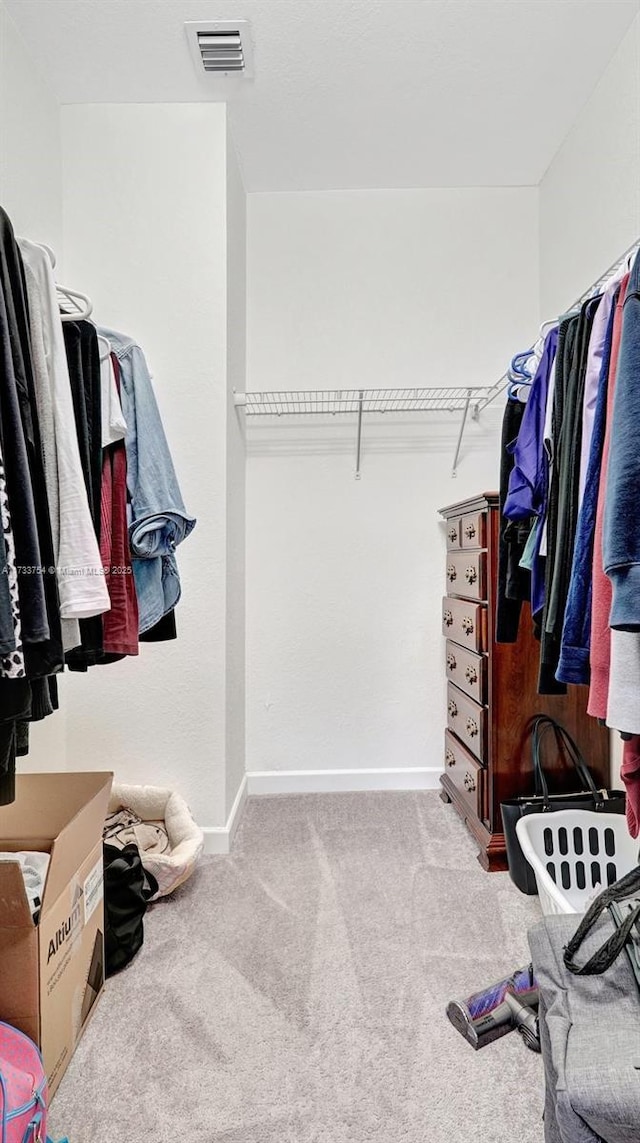 spacious closet with light carpet