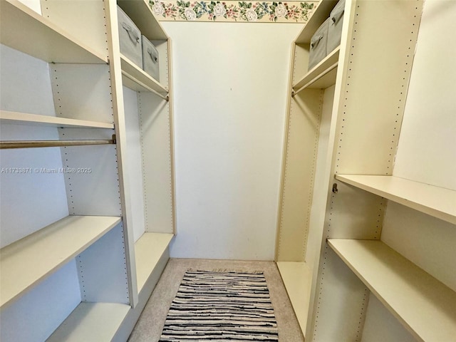 walk in closet featuring light colored carpet