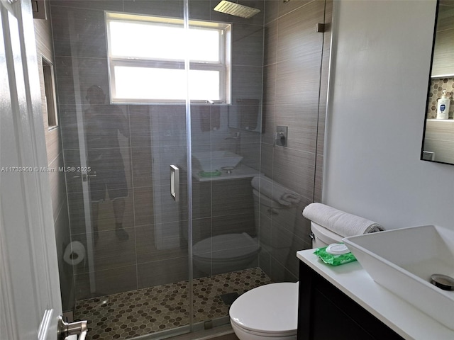 bathroom with walk in shower, vanity, and toilet