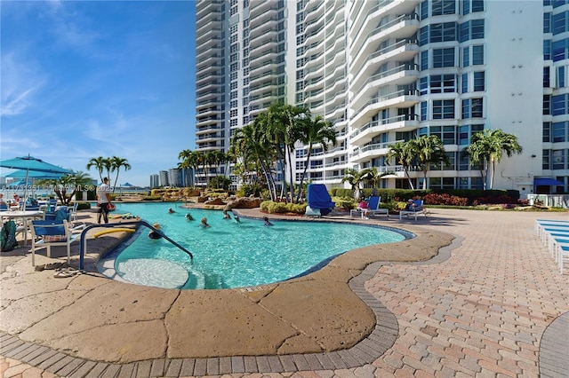 view of pool featuring a patio area