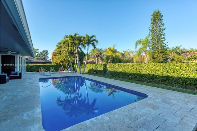 view of pool with a patio