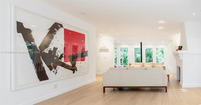 living room featuring light hardwood / wood-style floors