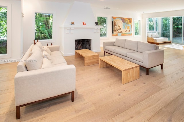 living room featuring a fireplace and light hardwood / wood-style flooring