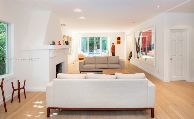 living room featuring a large fireplace and light hardwood / wood-style flooring