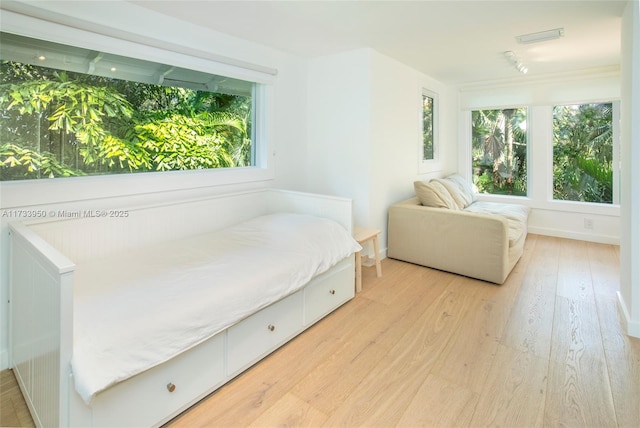 bedroom with light hardwood / wood-style flooring