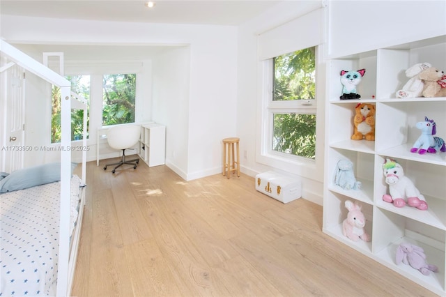 miscellaneous room featuring light hardwood / wood-style floors