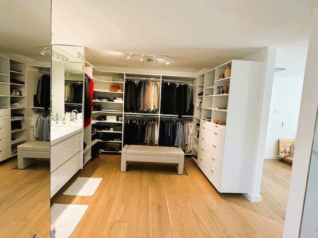 walk in closet with light wood-type flooring